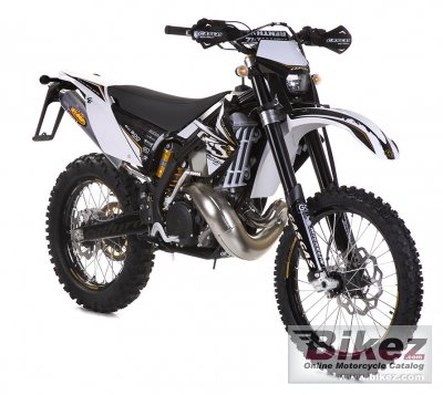 2011 GAS GAS EC 300 Racing photo
